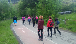 marcha nordica