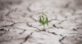 Resiliencia